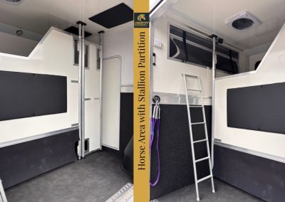 Horse Area with Stallion Partition